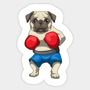 Pug Boxer Boxing gloves Boxing Sticker